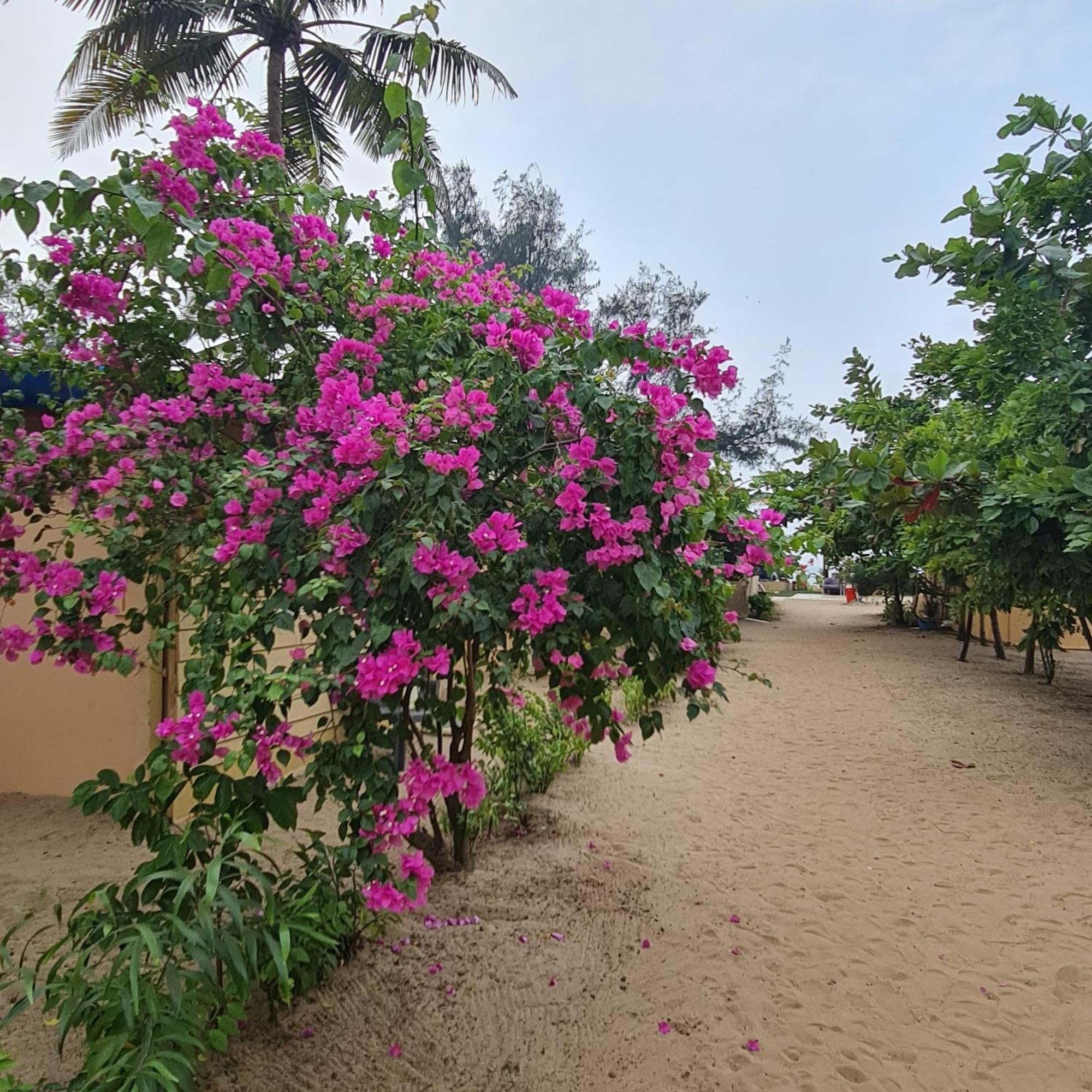 Love Temple Beach Resort Arambol Exterior foto